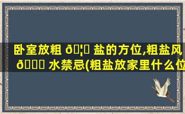 卧室放粗 🦉 盐的方位,粗盐风 🐞 水禁忌(粗盐放家里什么位置好)